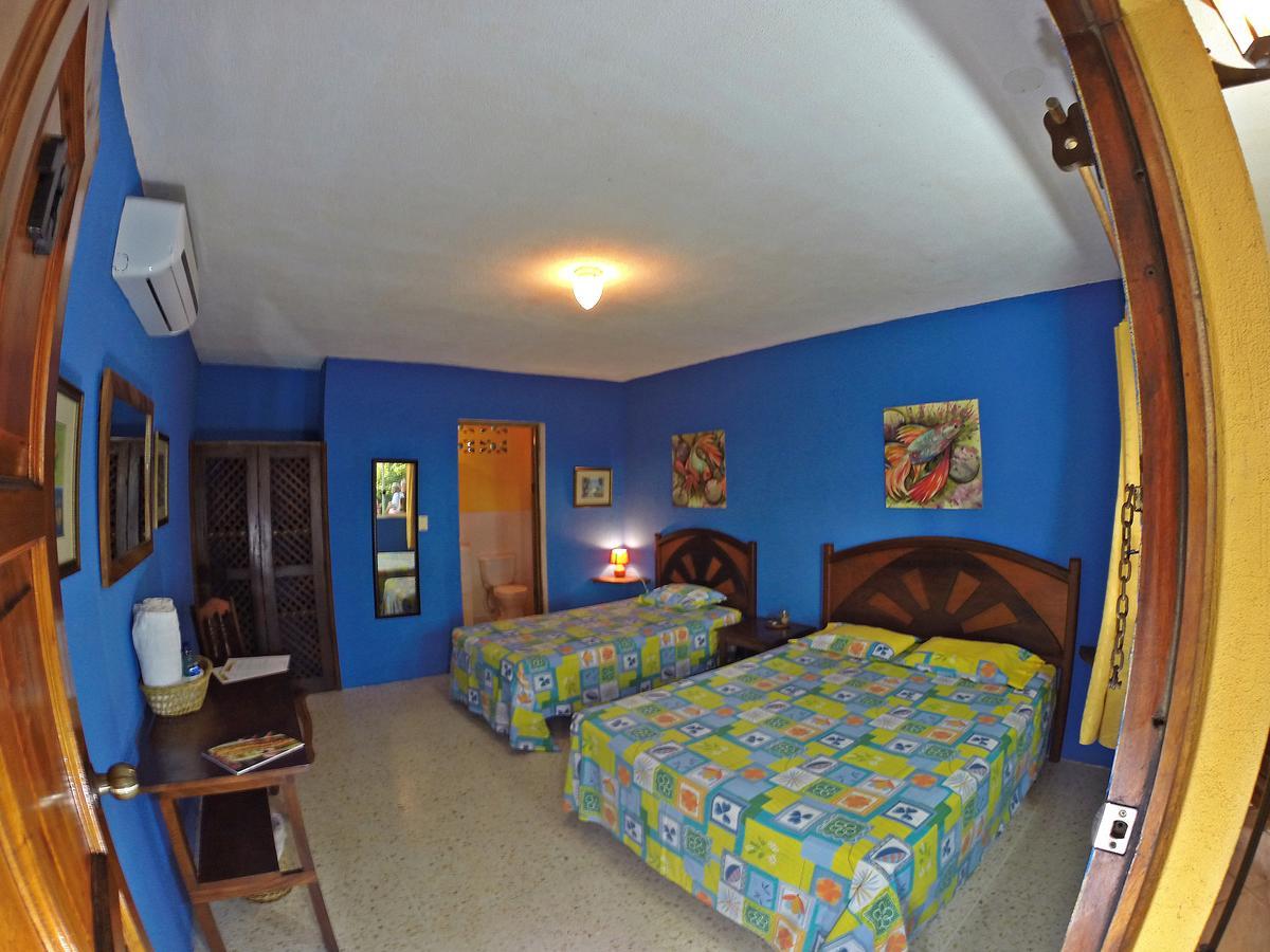 Hotel Cafe Del Sol مونتيريكو المظهر الخارجي الصورة